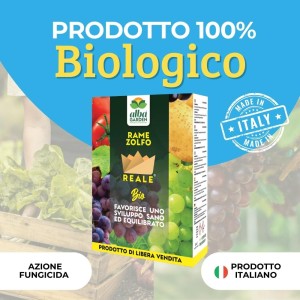 RAME ZOLFO POLVERE BAGNABILE 250 g