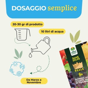 RAME ZOLFO POLVERE BAGNABILE 250 g