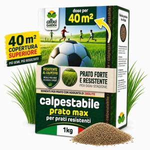 PRATO MAX SEME PRATO CALPESTABILE 1 Kg