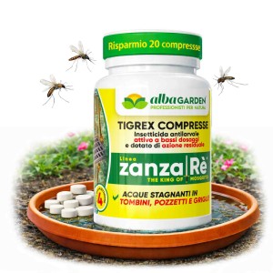 TIGREX COMPRESSE 20 g