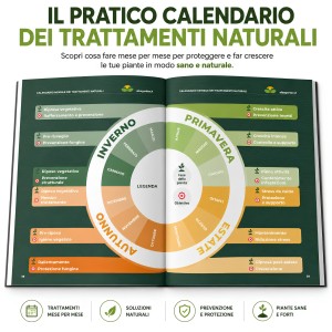 GUIDA STAMPATA Il Quaderno di Alba