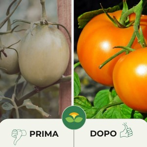 CONCIME GRANULARE BIO PER POMODORI 1 Kg