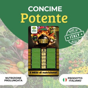 CONCIME BASTONCINI SUPERPREMIUM BOMBA VERDE 30 pz