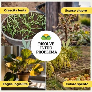 CONCIME BASTONCINI SUPERPREMIUM BOMBA VERDE 30 pz