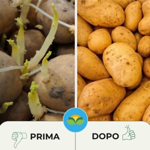 DORMIX 400 g