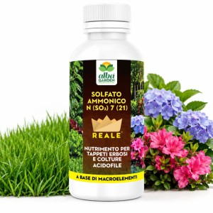 CONCIME LIQUIDO SOLFATO AMMONICO 1 Kg