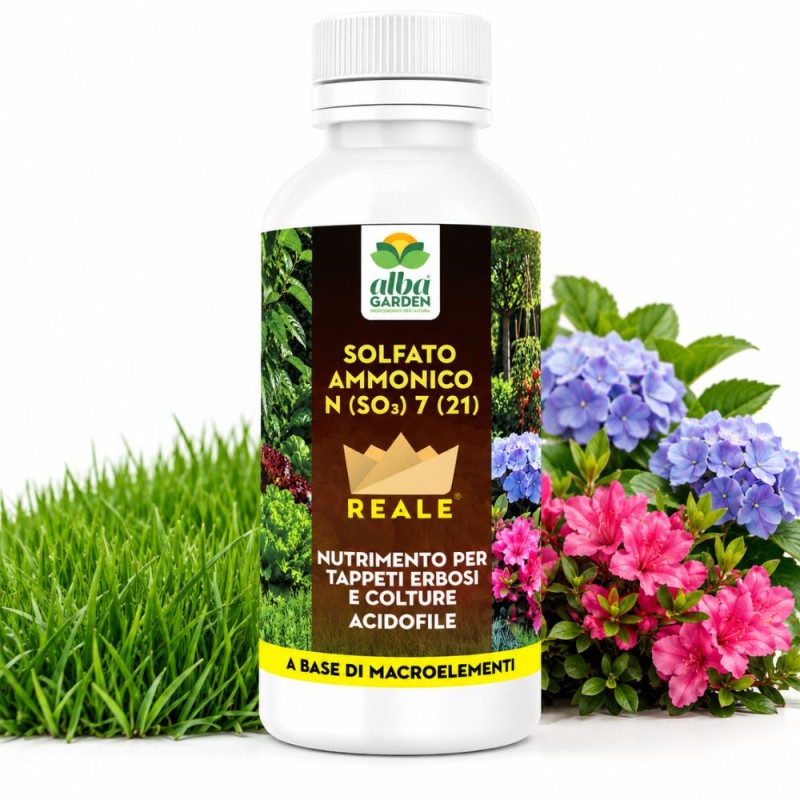 CONCIME LIQUIDO SOLFATO AMMONICO 1 Kg