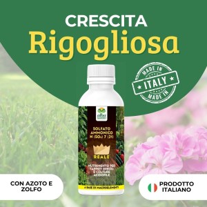 CONCIME LIQUIDO SOLFATO AMMONICO 1 Kg