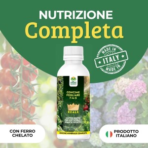 CONCIME FOGLIARE LIQUIDO 7-4-5 - 1 Kg