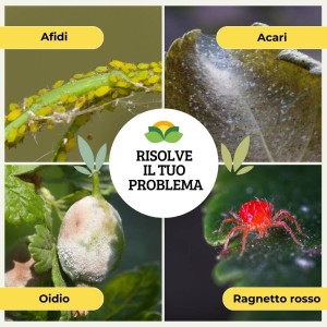 TRIPLA AZIONE EXTRA SPRAY 1 Lt RTU