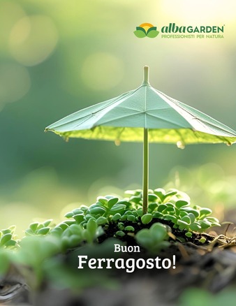 Anche oggi la natura fiorisce. E tu? 🌼
Buon Ferragosto da chi coltiva ogni giorno bellezza e semplicità. 🌿 
#Albagarden #ferragosto