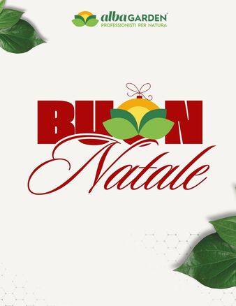 In occasione delle festività, Albagarden augura a clienti, partner e collaboratori un sereno Natale 🎄 e un nuovo anno ricco di opportunità ✨.

Grazie a chi ci accompagna ogni giorno nel nostro percorso di crescita 🤝.
Guardiamo al futuro con determinazione e fiducia 🚀.

Buone Feste 🎁
#Albagarden