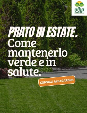 Mantenere il prato verde in estate è possibile!
Con qualche accorgimento e i prodotti giusti, il tuo giardino può affrontare il caldo senza stress.

💡 Sul sito Albagarden trovi concimi estivi, biostimolanti e tutto ciò che serve per prenderti cura del prato in ogni stagione.

📲 Salva il post per non dimenticare i trucchi estivi!
www.albagarden.it
#albagarden