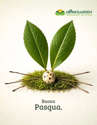 Buona Pasqua da Albagarden 🌿🐣
Che sia un giorno di serenità e cose semplici.
Proprio come un giardino curato con amore 💚
🌸 Buona Pasqua a tutti voi!
#Albagarden
