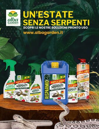 🐍🌿 Serpenti in giardino? No, grazie!

Con il caldo, è facile trovarli tra orto e siepi…
👉 Proteggi i tuoi spazi verdi con i nostri repellenti naturali e sicuri!
Zero veleni, 100% efficacia. 🌱

🛒 Scopri ora i prodotti anti-serpente!
www.albagarden.it
#Albagarden