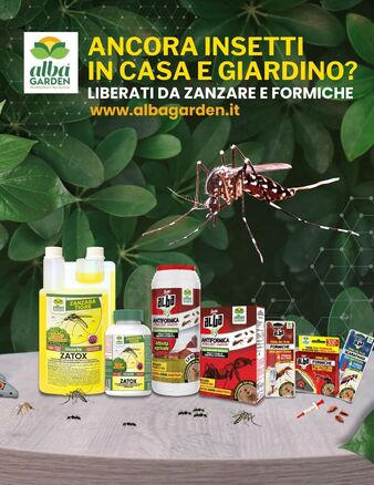 FORMICHE E ZANZARE A SETTEMBRE? SÌ, PUÒ SUCCEDERE.
L’estate sta finendo… ma loro non vanno via! 🐜🦟
Se formiche e zanzare sono ancora un problema, non aspettare: Albagarden ha i prodotti giusti per risolvere il problema, anche a stagione inoltrata.

👉 Soluzioni efficaci, pronte all’uso e professionali.
👉 Per ambienti interni, esterni e giardini.
👉 Disponibili sul nostro shop www.albagarden.it

🛡️ Libera i tuoi spazi e goditi il tuo settembre in tranquillità.
#Albagarden