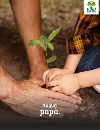 🌿 Ci sono papà che insegnano a prendersi cura.

A piantare con pazienza,
ad aspettare i tempi giusti,
a vedere la bellezza anche nelle cose più semplici.

Oggi celebriamo chi ci ha insegnato che crescere richiede attenzione, tempo e amore 💚

Buona Festa del Papà da Albagarden!
#Albagarden #festadelpapapà