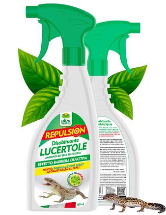Basta lucertole in casa e sul balcone!
Albagarden Disabituante Lucertole Spray è la soluzione naturale e non invasiva per tenere lontane le lucertole da:

✅ Davanzali
✅ Terrazzi
✅ Porticati e ingressi
✅ Muri esterni e vialetti

💨 Pronto all’uso, agisce in pochi minuti e non lascia residui.
Perfetto per chi cerca un’alternativa efficace ma rispettosa degli animali e dell’ambiente. 🌱

👉 Provalo ora: www.albagarden.it
#albagarden