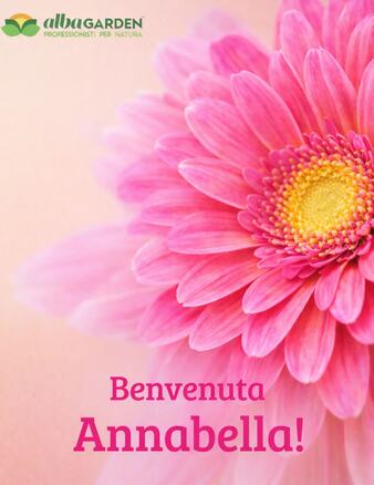🌱 Un nuovo germoglio è sbocciato.

Oggi la famiglia Albagarden celebra una nuova vita.

Benvenuta Annabella e auguri di cuore a Mamma @g_ielpo , al Papà @stam1985 e al piccolo fratellino Francesco Noè !!!

Che il tuo cammino sia pieno di luce, amore e crescita.

💚 Da tutta la squadra Albagarden.