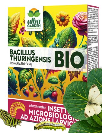 Con l'arrivo dell’autunno, le temperature calano ma le larve di lepidotteri continuano a minacciare orti, giardini e piante ornamentali. È il momento perfetto per scegliere una difesa biologica efficace.

🌿 Il larvicida Bacillus thuringiensis  Bio di Albagarden è la tua risposta naturale:

✅ Agisce per ingestione, bloccando l’alimentazione delle larve e fermando il loro sviluppo
✅ Ideale sui primi stadi di infestazione: quando le larve sono piccole
✅ Prodotto biologico, formulato in polvere bagnabile — perfetto per chi vuole proteggere il verde senza ricorrere a soluzioni chimiche aggressive

🌱 Per ortaggi, frutteti, piante ornamentali… ogni zona verde merita la sua protezione anche con il freddo che avanza.

Acquistalo sul nostro shop: www.albagarden.it
#albagarden