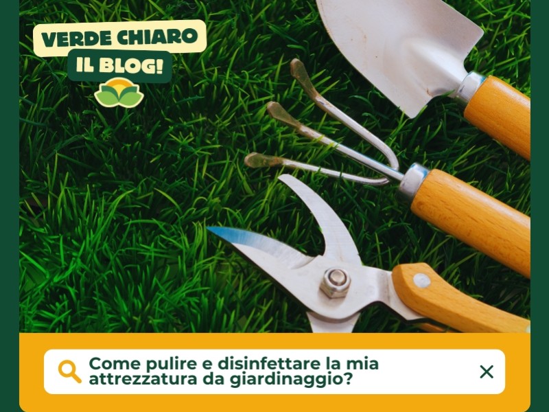 Sali quaternari - Perchè utilizzarli contro il Covid 19