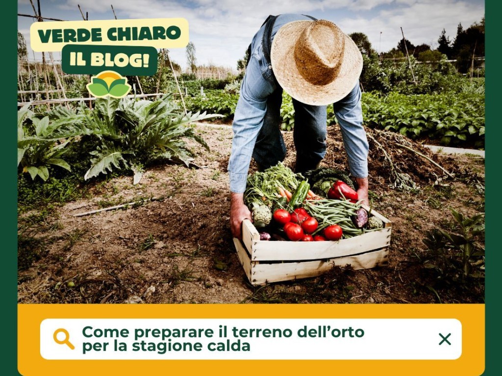 Come preparare il terreno dell'orto per la stagione calda